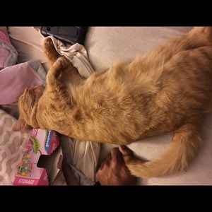 Meet your Posher, Philip