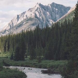 Meet your Posher, Leanne