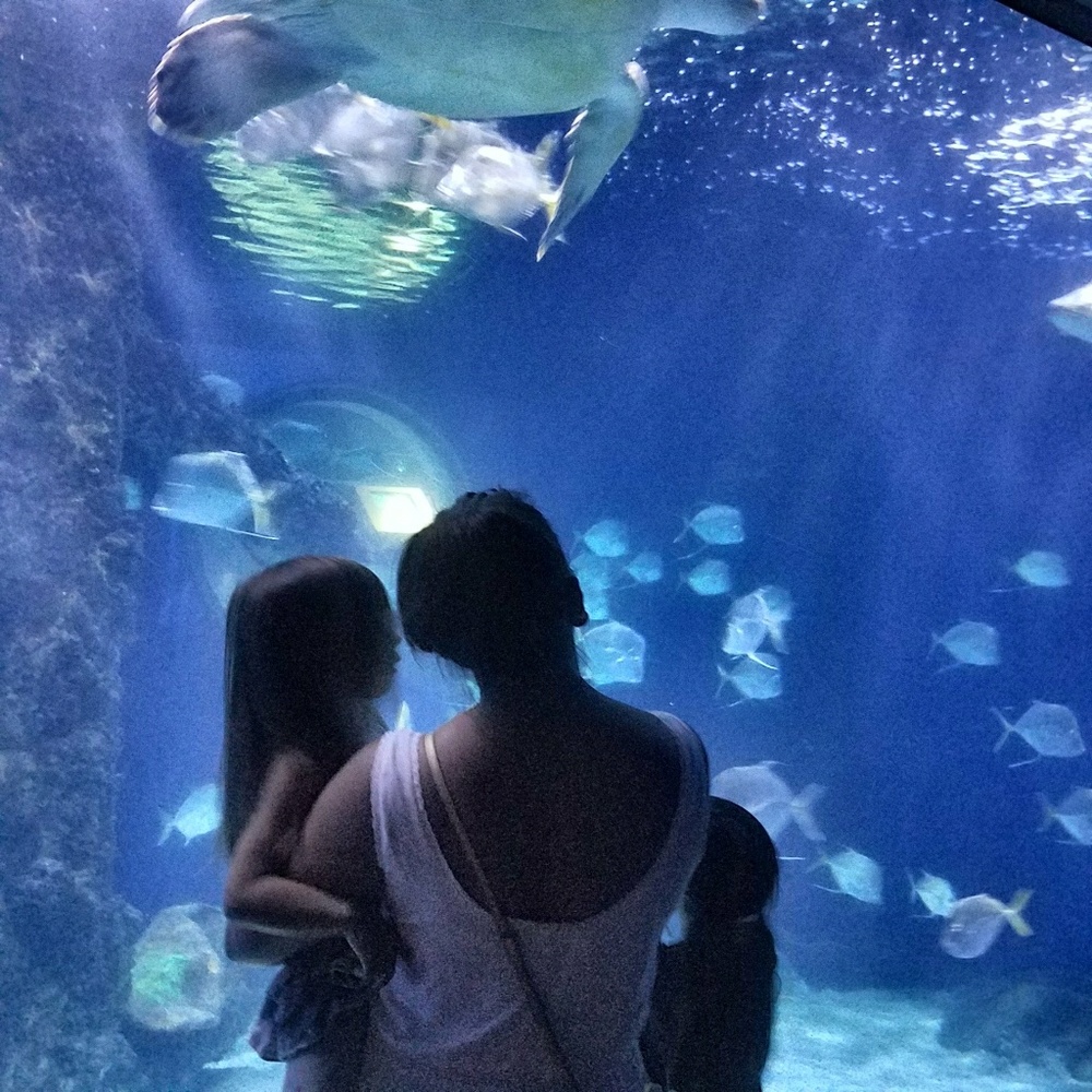 Meet your Posher, Evelyn