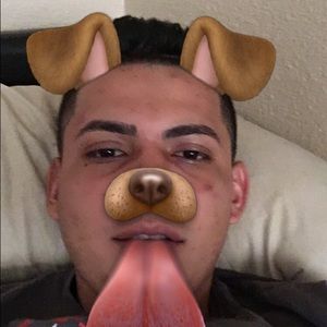 Meet your Posher, Wilber