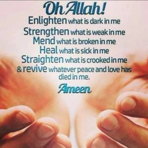 Meet your Posher, Shaheen