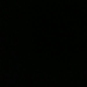 Meet your Posher, Luis