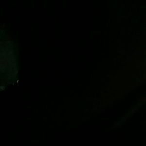 Meet your Posher, Mable