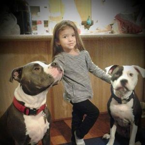 Meet your Posher, Lori aragon