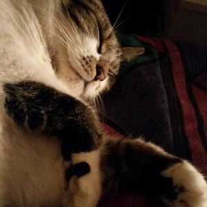 Meet your Posher, Kim