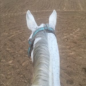 Meet your Posher, Leeanna