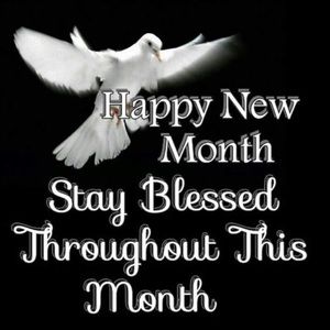 Meet your Posher, Phillip