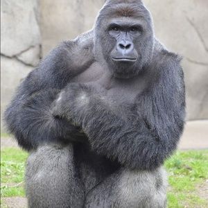 Meet your Posher, Bryce