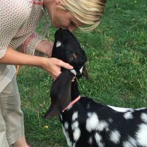 Meet your Posher, Cindy