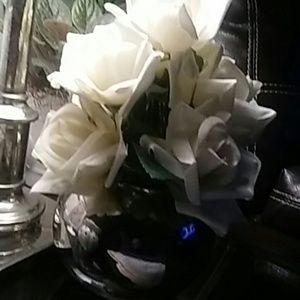 Meet your Posher, Bernadette