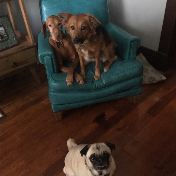 Welcome to my closet! 🌼 - Picture 5 of 5