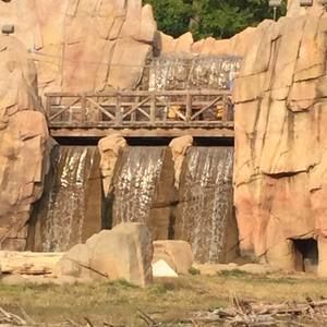 Meet your Posher, Regina