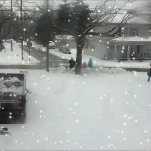 Meet your Posher, Brandie