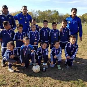 Meet your Posher, Wilber