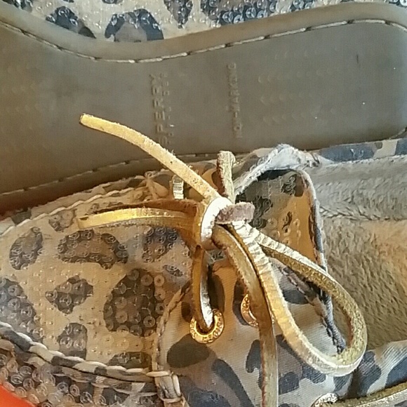 Leopard Sperry - Picture 4 of 4