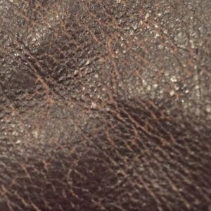 Meet your Posher, Lucas