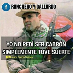 Meet your Posher, Kori