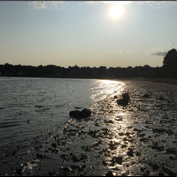 Meet your Posher, Jenny - Picture 7 of 8