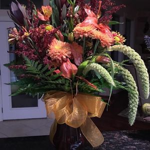 Meet your Posher, Sally