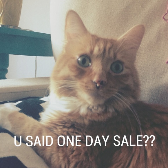 One day sale