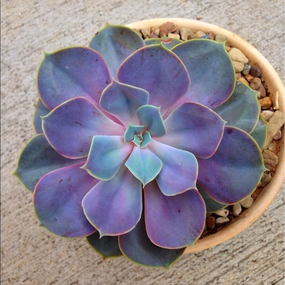 Meet your Posher, Caitlin