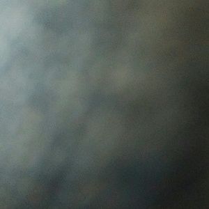 Meet your Posher, Noelle