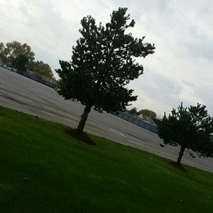 Meet your Posher, Hamza