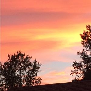 Meet your Posher, Dawn