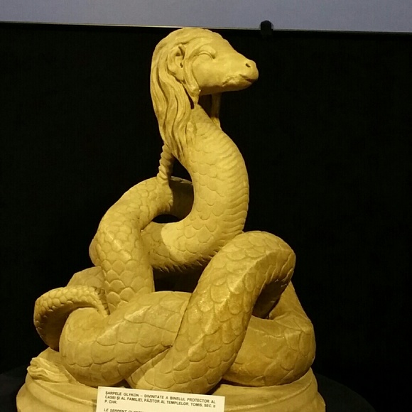 Meet your Posher, Codruta - Picture 1 of 1