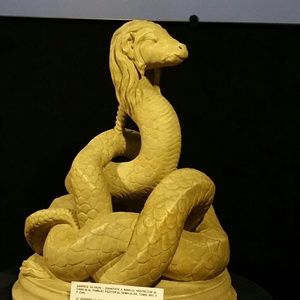 Meet your Posher, Codruta