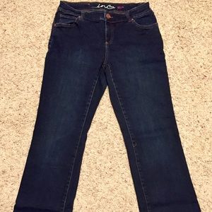 Inc (International Concepts) Denim Stretch Jeans