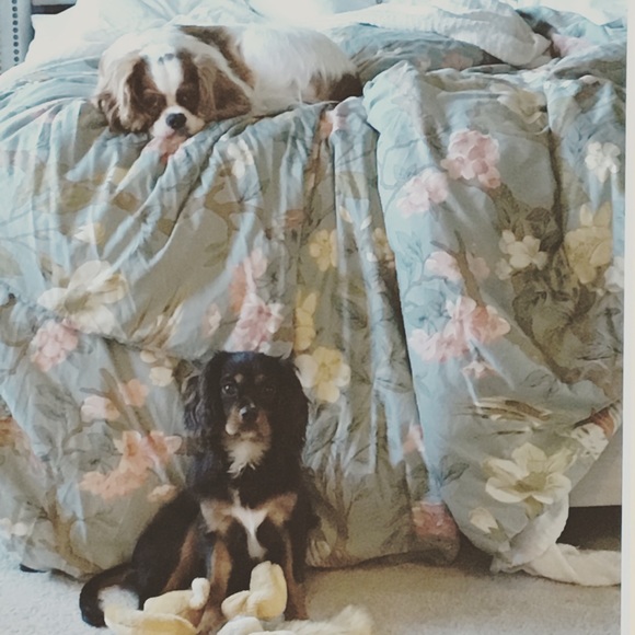 Meet your Posher, Jessica - Picture 8 of 8