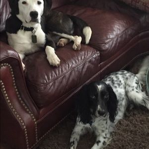 Meet your Posher, Barry