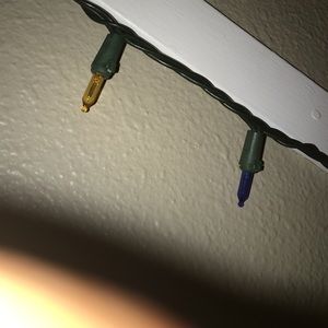 Meet your Posher, Trissa