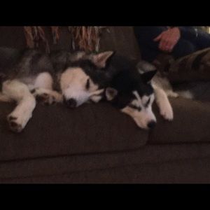 Meet your Posher, Heather