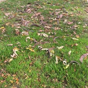 Meet your Posher, Jacky