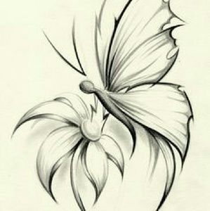 Meet your Posher, Brandi