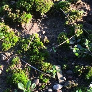 Meet your Posher, Lydia