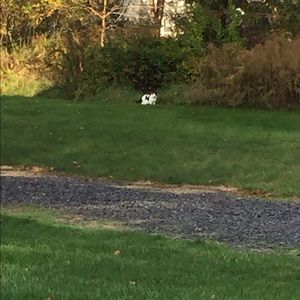 Meet your Posher, Janet