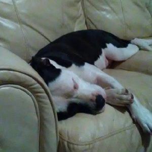 Meet your Posher, Meaghan