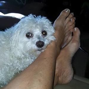 Meet your Posher, Donna