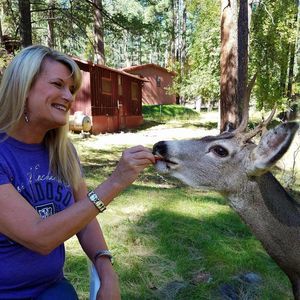 Meet your Posher, Lisa