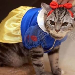 Meet your Posher, Liz