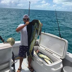 Meet your Posher, Peter