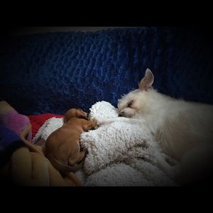 Meet your Posher, Stefanie