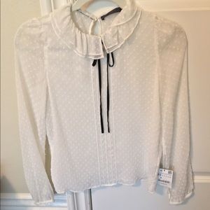 Zara White collard blouse
