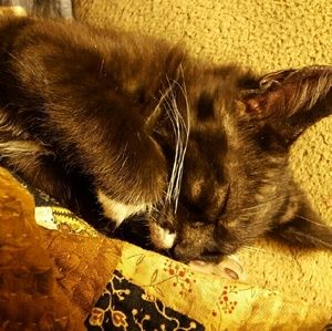 Meet your Posher, Mary