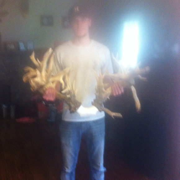 Meet your Posher, Steven - Picture 1 of 1