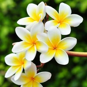 Meet your Posher, Kari