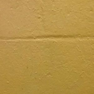 Meet your Posher, San juanita